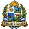 club logo
